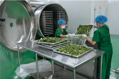 Sấy đông khô - công nghệ cho những sản phẩm cao cấp